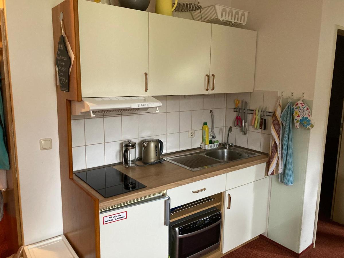 Apartman Viki Διαμέρισμα Philippsreut Εξωτερικό φωτογραφία
