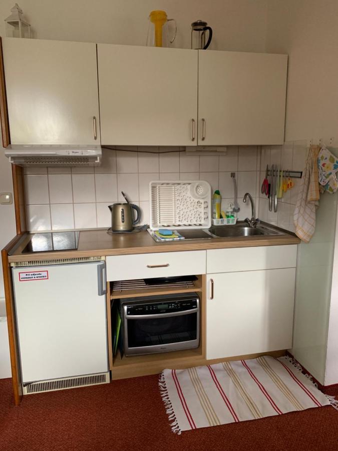 Apartman Viki Διαμέρισμα Philippsreut Εξωτερικό φωτογραφία