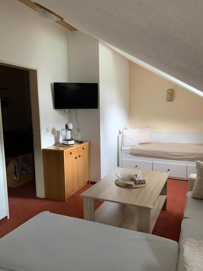 Apartman Viki Διαμέρισμα Philippsreut Εξωτερικό φωτογραφία