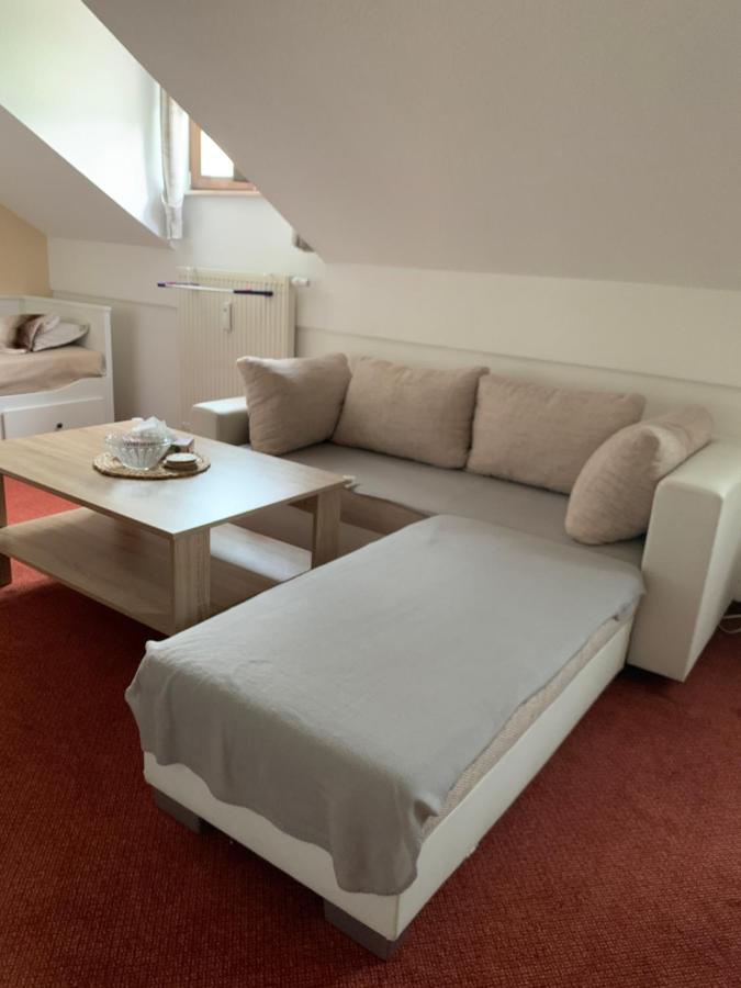 Apartman Viki Διαμέρισμα Philippsreut Εξωτερικό φωτογραφία